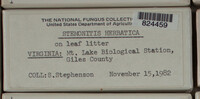 Image Associated With the Occurence